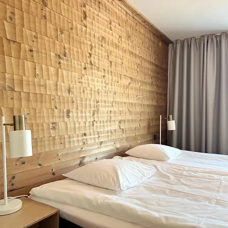 Ski-inn Apartment