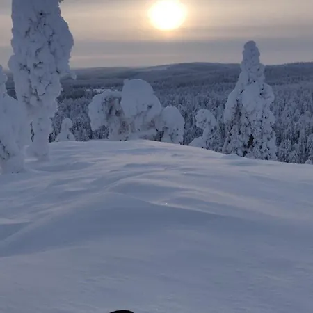Ski-inn *