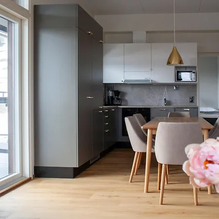 Ski-inn Apartment *