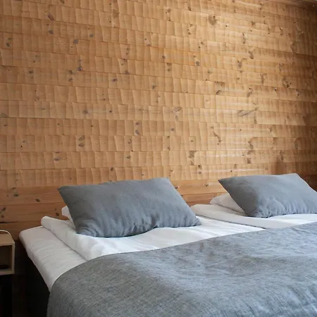 Apartment Ski-inn